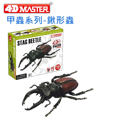 【4D MASTER】甲蟲系列-鍬形蟲 STAG BEETLE