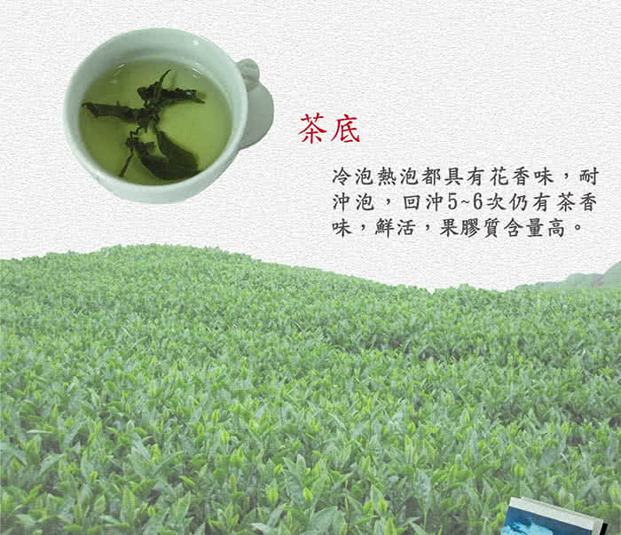 【名池茶業】二兩灑金禮盒-杉林溪(8罐)