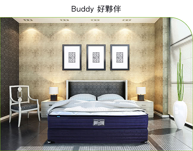 【bodipad 寶倍得】Buddy 好夥伴 獨立筒-單人