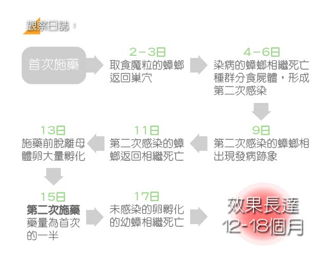 【房裡無蟑】好神奇 殺蟑魔粒 蟑螂藥(50克 1入)