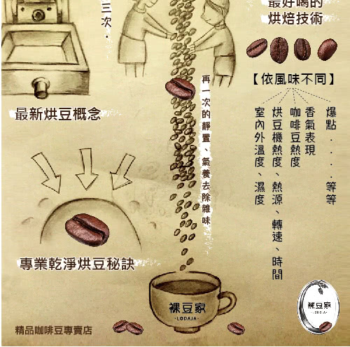【LODOJA裸豆家】西達莫G2水洗手挑精品咖啡豆(227g)