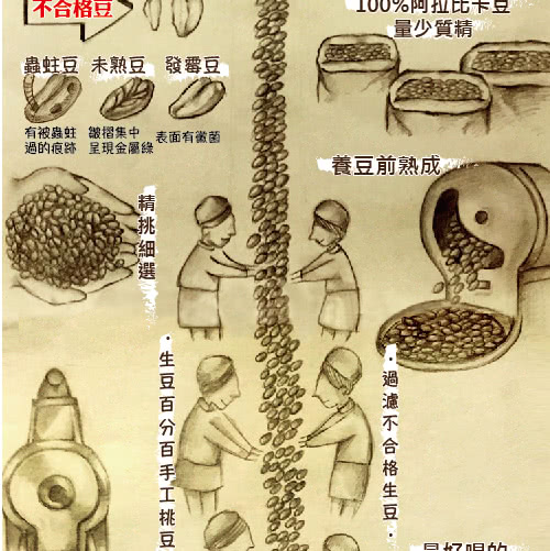 【LODOJA裸豆家】濾掛精品組合3種風味