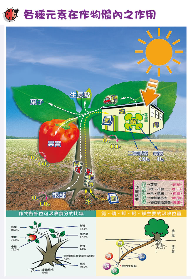 【花公主】花綠香有機質培養土(6L)