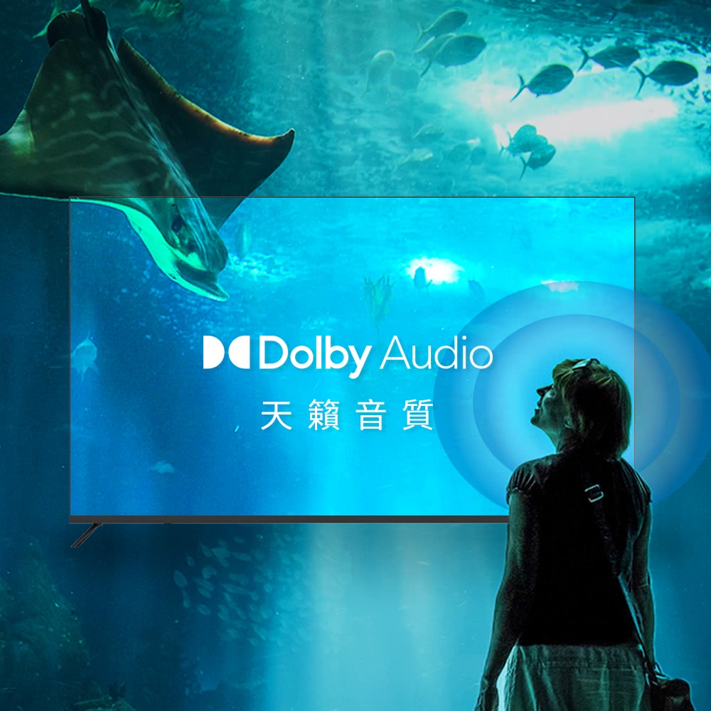 DigiKing數位新貴 DK-S43KN2499 - 詳情12