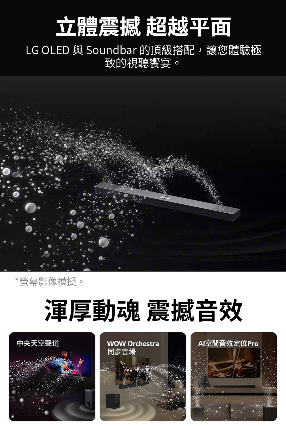 LG樂金 S95TR - 詳情2