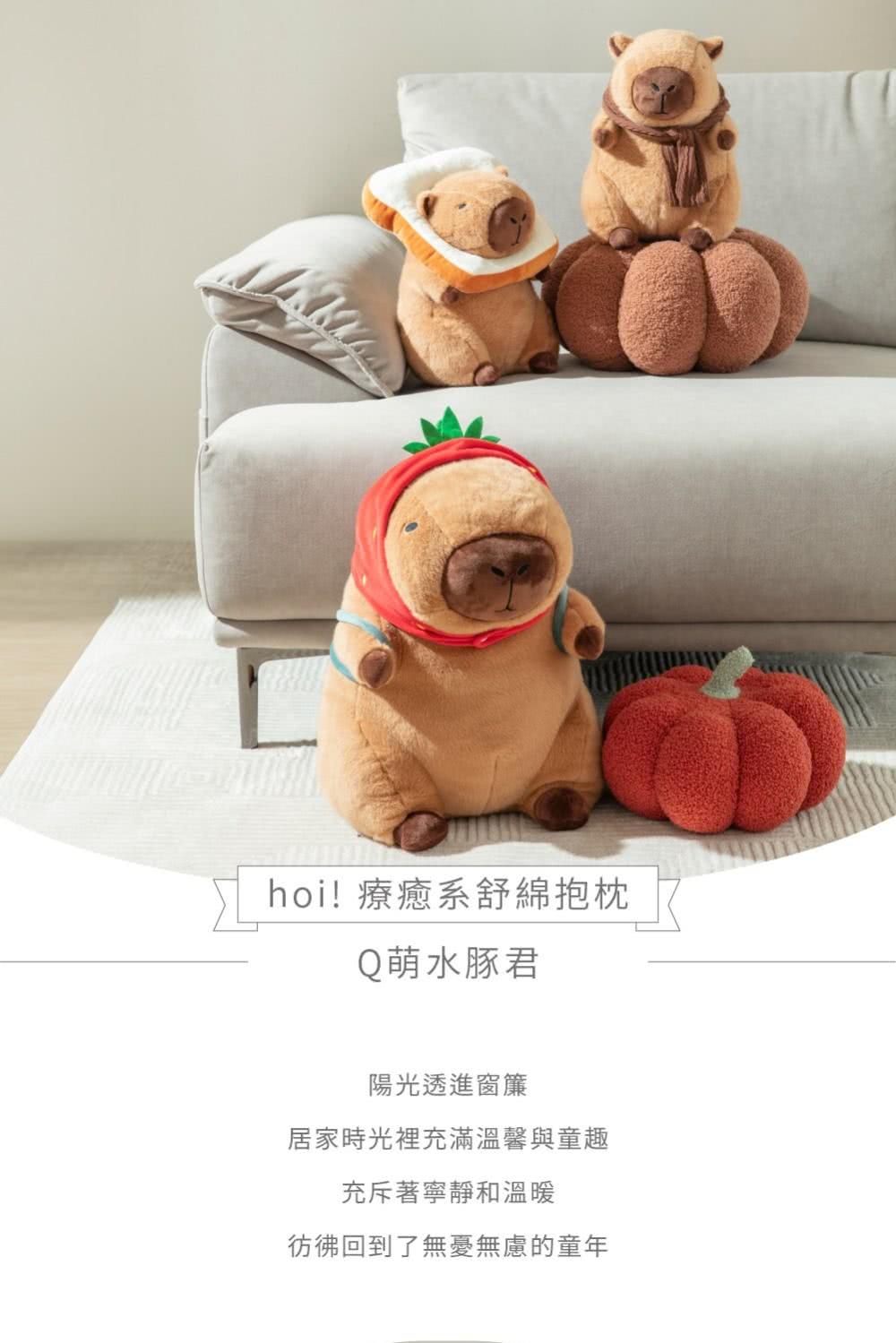 hoi! 好好生活 療癒系舒棉抱枕-圍巾水豚君好評推薦 hoi! 好好生活 療癒系舒棉抱枕-圍巾水豚君好評推薦
