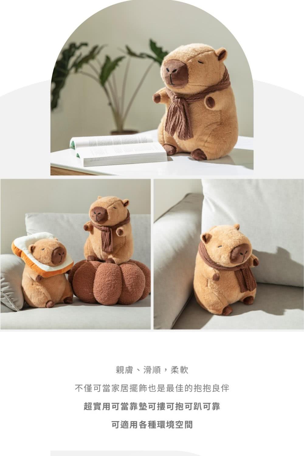 hoi! 好好生活 療癒系舒棉抱枕-圍巾水豚君好評推薦 hoi! 好好生活 療癒系舒棉抱枕-圍巾水豚君好評推薦