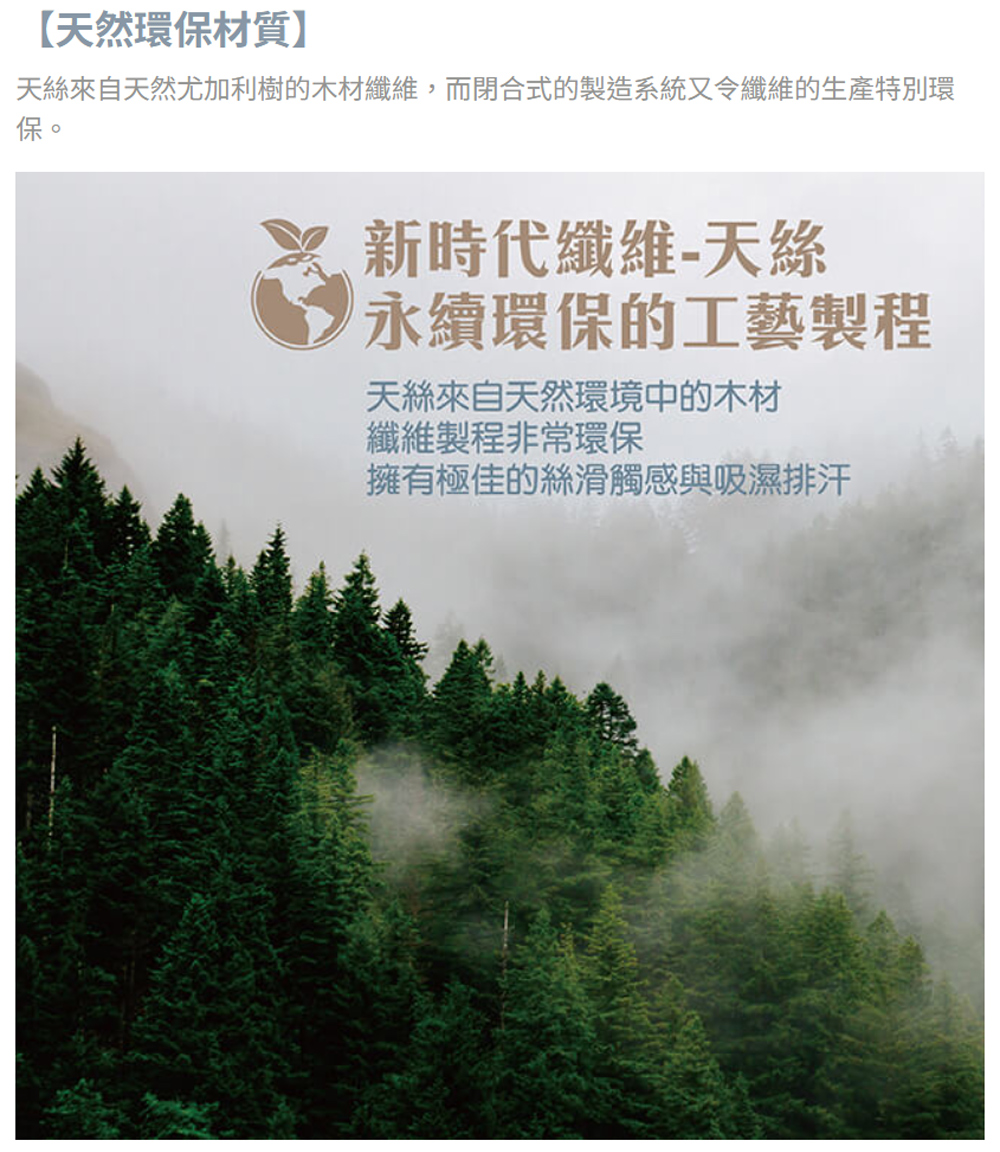 Fotex 芙特斯 Fotex-天絲-單人床包組-紳士條紋( Fotex 芙特斯 Fotex-天絲-單人床包組-紳士條紋(
