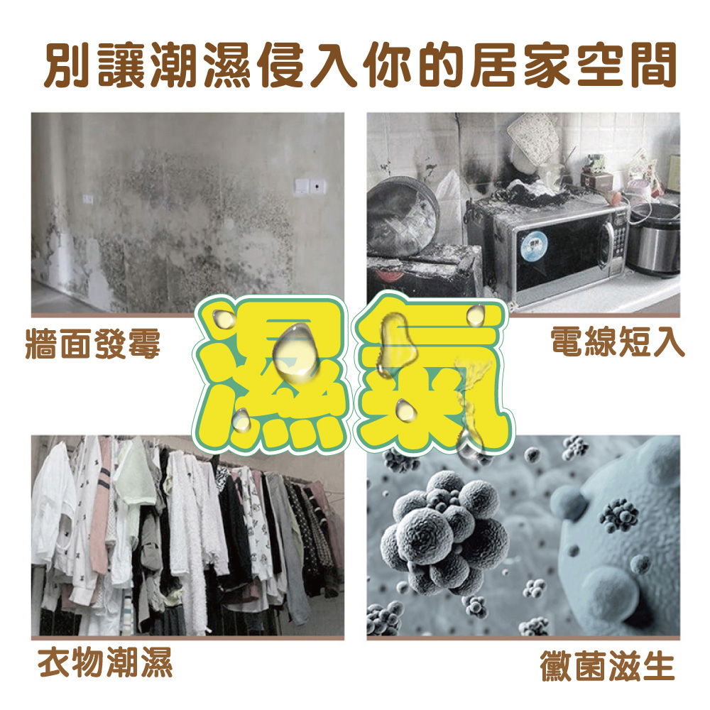 別讓潮濕侵入你的居家空間 牆面發霉 電線短入 衣物潮濕 黴菌滋生 