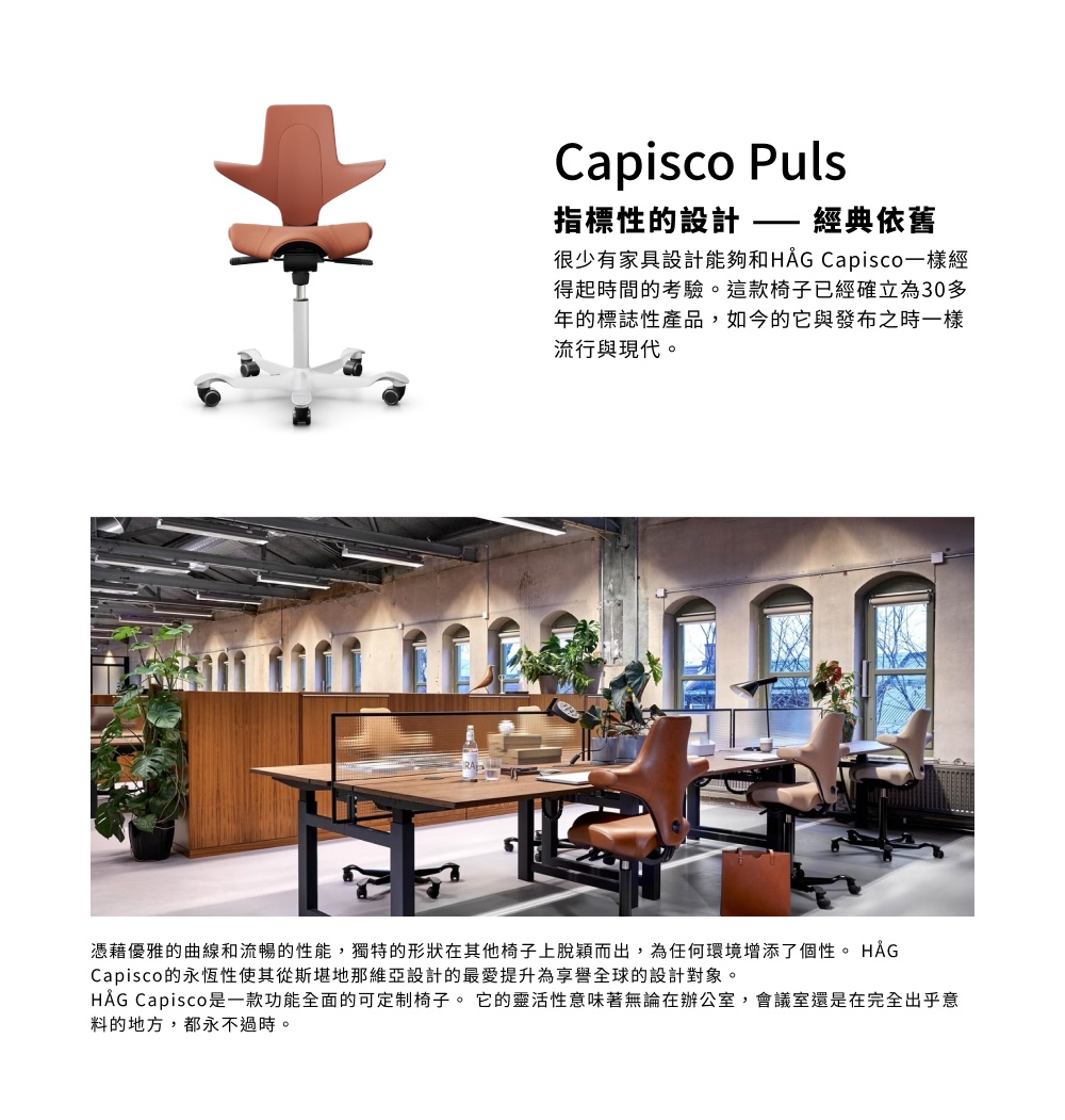 HAG ystore雅浩家具 Capisco Puls 乾燥 HAG ystore雅浩家具 Capisco Puls 乾燥