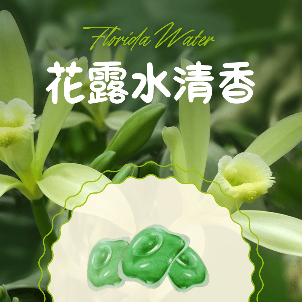 湠佶 超值3盒組 花露水萬用超濃縮清潔球30顆/盒(洗衣膠球 湠佶 超值3盒組 花露水萬用超濃縮清潔球30顆/盒(洗衣膠球