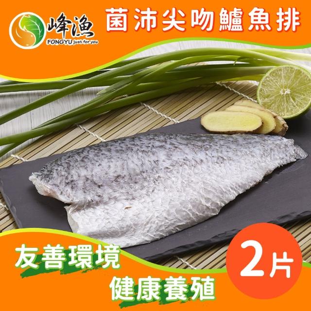 【峰漁安心水產】無毒 無刺 菌沛尖吻鱸魚排-2片組(產銷履歷金目鱸魚)