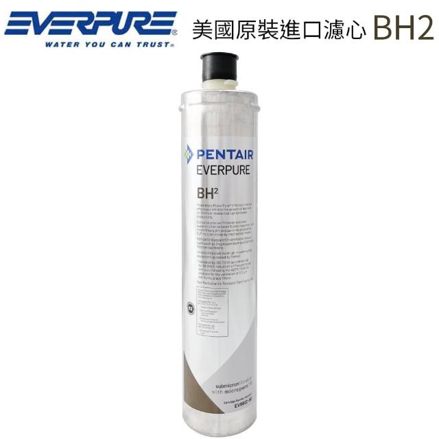 【EVERPURE 愛惠浦】美國原裝進口濾心(BH2)