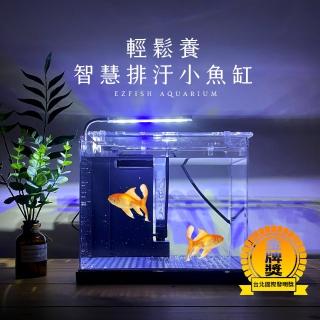 6l 水槽金魚