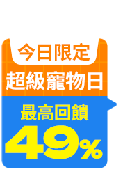 全站活動