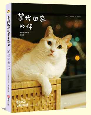 等我回家的你
