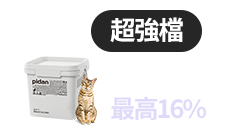 活動