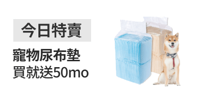 活動