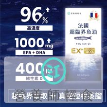 全站活動