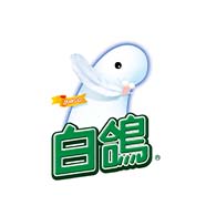 白鴿