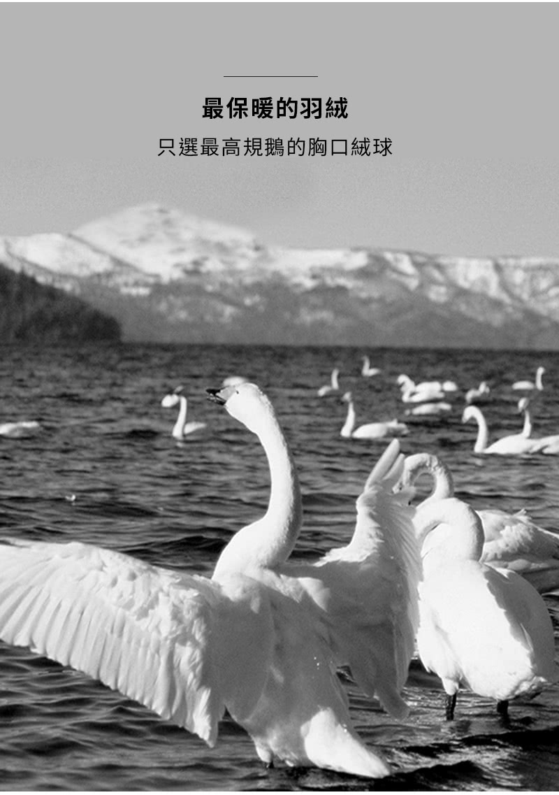 最保暖的羽絨 只選最高規鵝的胸口絨球 