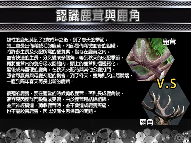 【碧荷柏】鹿茸瑪卡威鋒膠囊&左旋精胺酸複方強效錠(全面雙效 一加一)