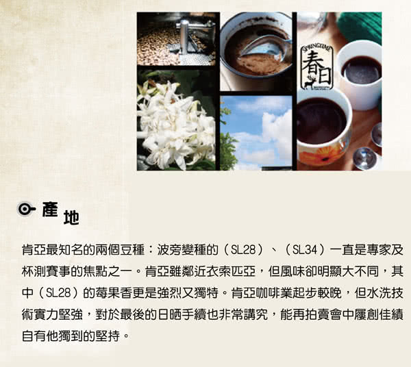 【春日咖啡】肯亞AA—莊園咖啡豆瀘掛式咖啡(10入/盒x3)