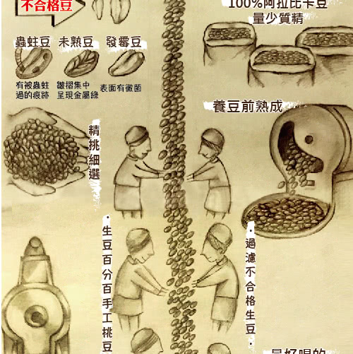 【LODOJA裸豆家】經典精品咖啡手挑綜合豆(2磅/908g)
