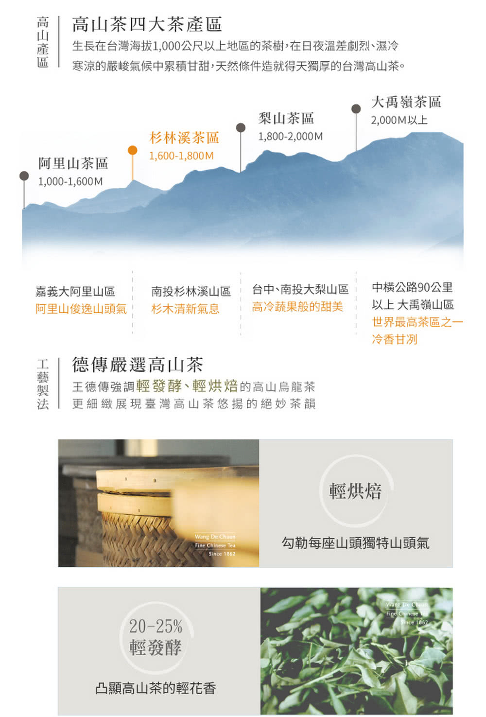 生長在台灣海拔1,000公尺以上地區的茶樹,在日夜溫差劇烈、濕冷