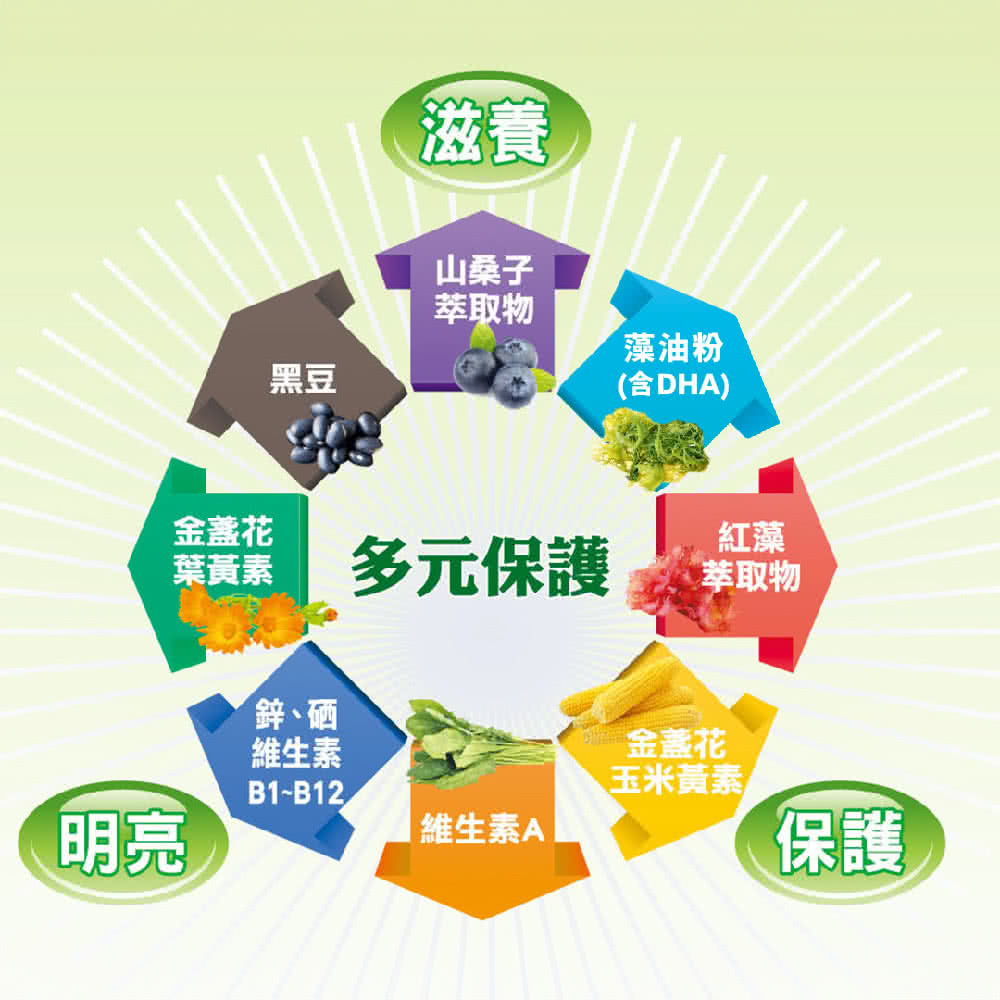 贊 多元保護