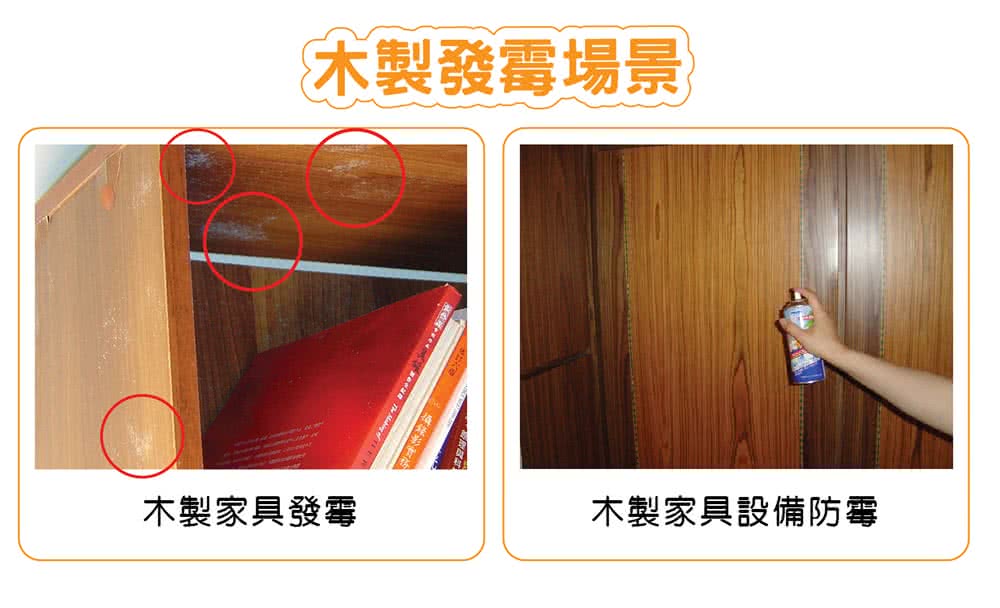 木製發霉場景 木製家具發霉 木製家具設備防霉 