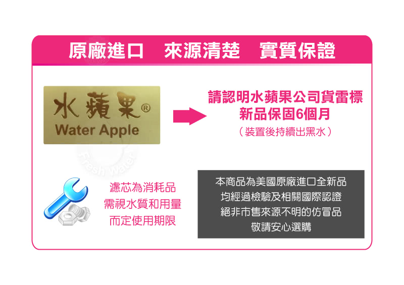 Everpure愛惠浦 S-100 - 詳情1