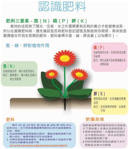 翠筠 必達速效肥系列 100克 Momo購物網