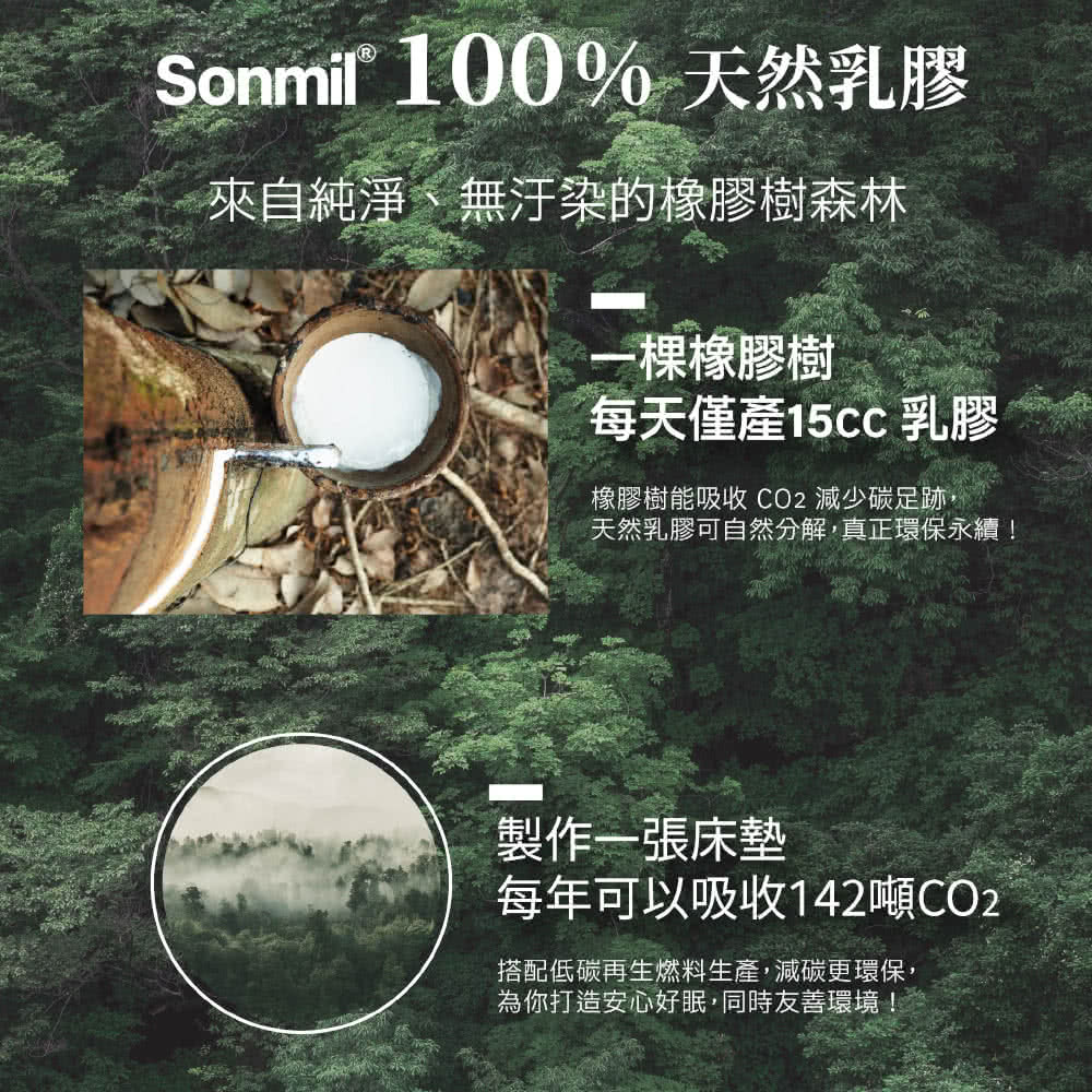 橡膠樹能吸收 CO2 減少碳足跡,