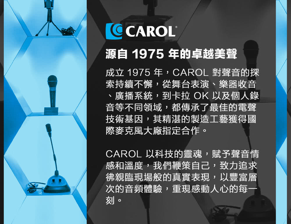 成立 1975 年,CAROL 對聲音的探