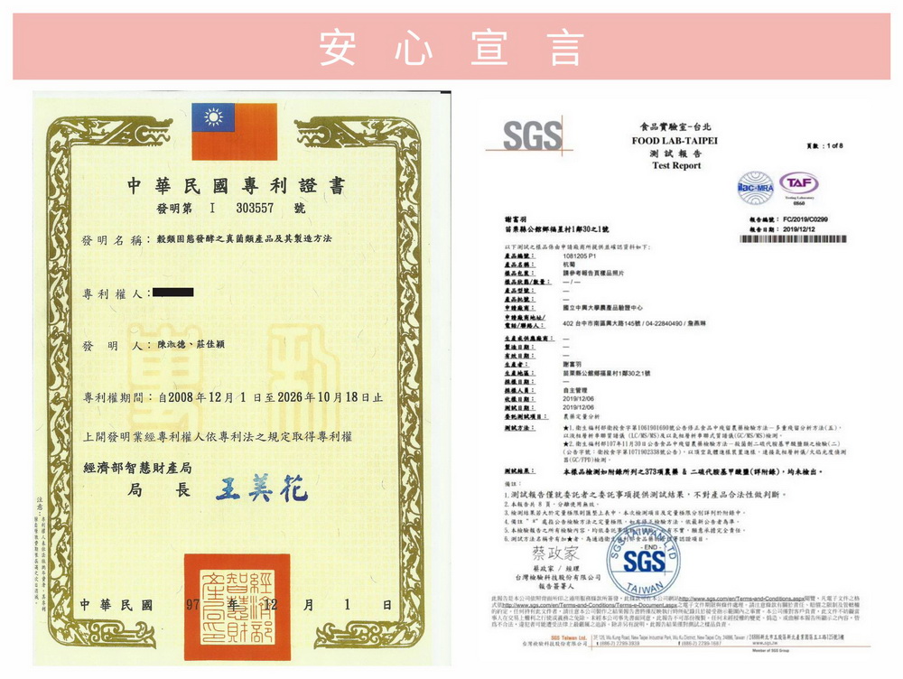 此国为是本公司使 所之用 所著發,此 公司 l gs.comianamasandCondtonas 凡電子文件之格