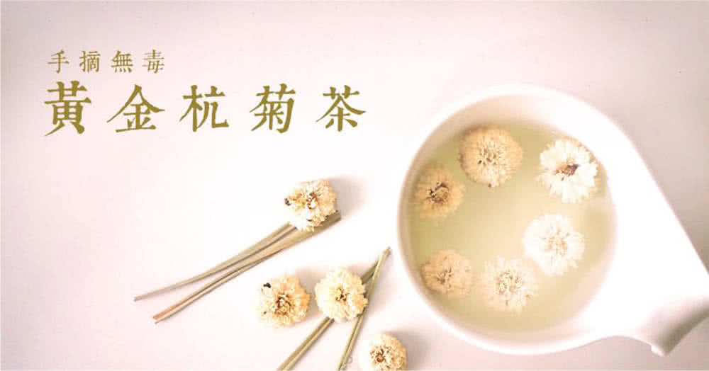 手摘無毒 黃金杭菊茶 
