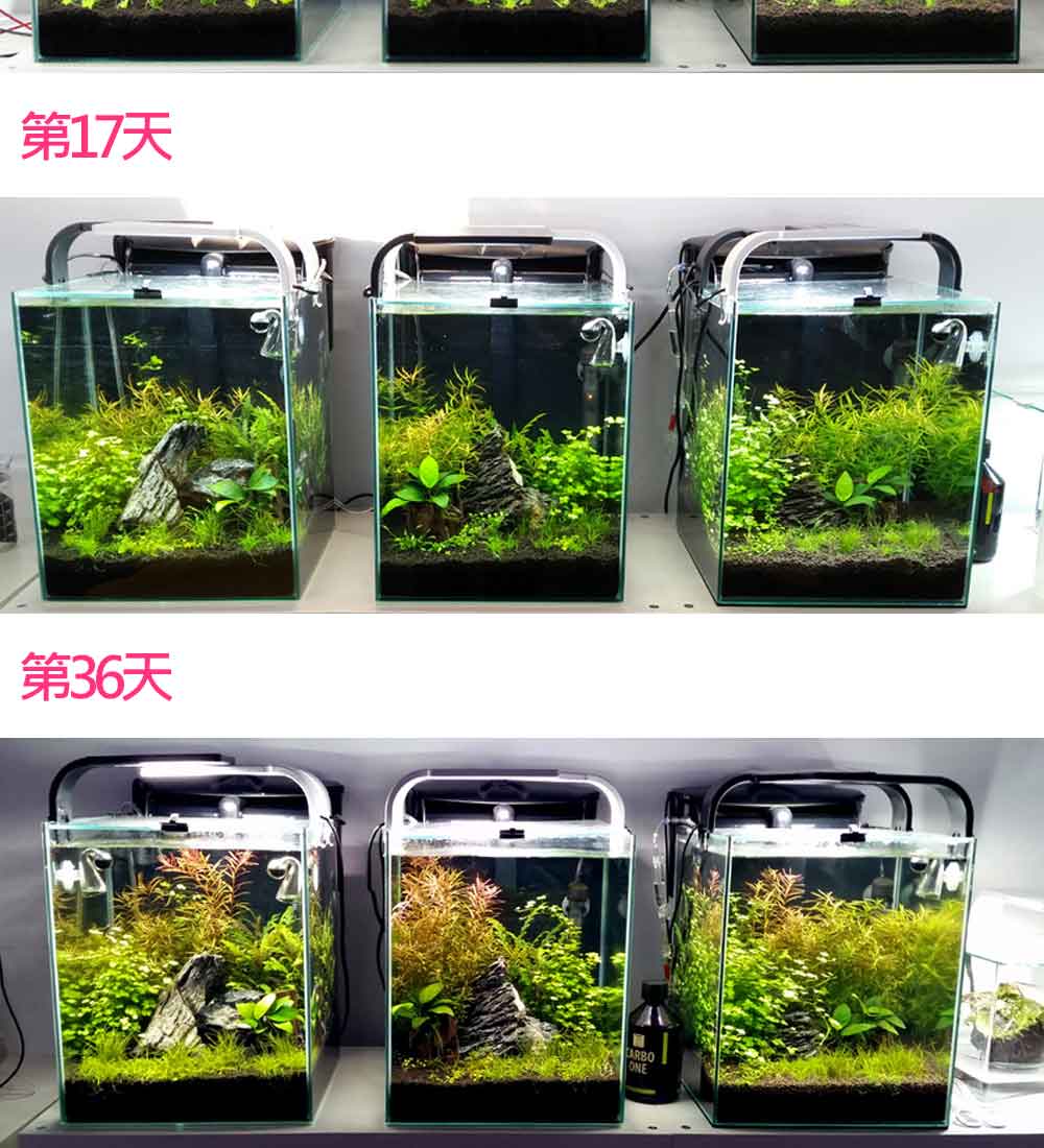 Jun Platinum Soil白金黑土底床8l 黑色 粗粒 Jun Platinum Soil白金黑土底床8l 黑色 粗粒