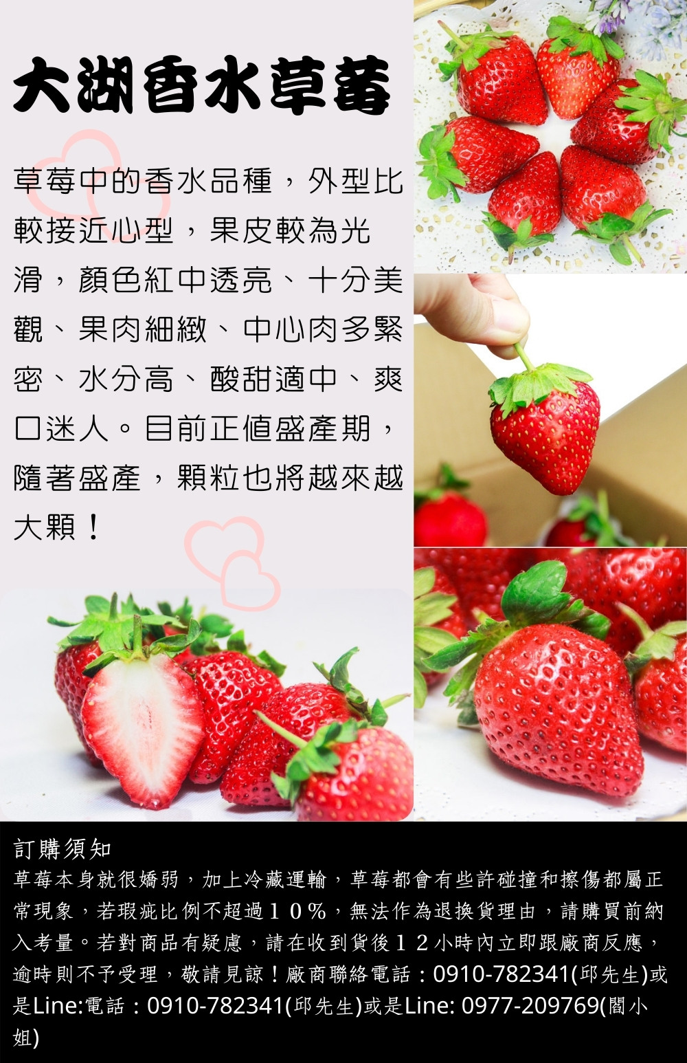 阿成水果 苗栗大湖一號級大草莓 約58 62粒 1 5kg 盒 Momo購物網