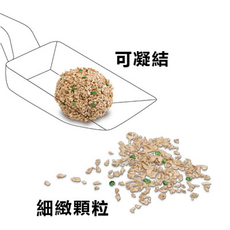 細緻顆粒 可凝結 