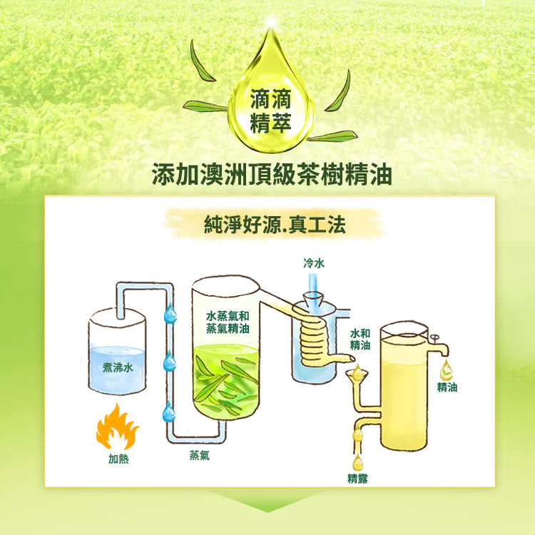 添加澳洲頂級茶樹精油