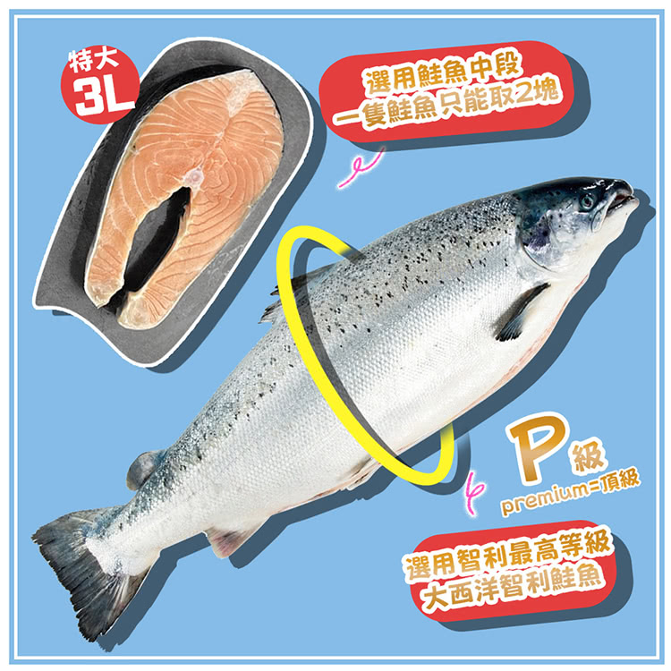 premium頂級