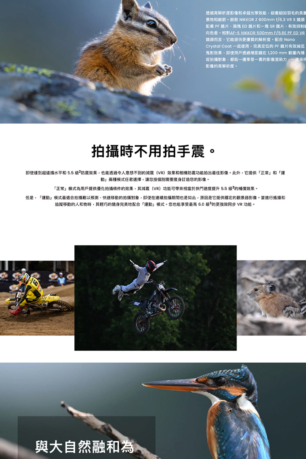 Nikon尼康 Z 600mm F/6.3 VR S - 詳情8