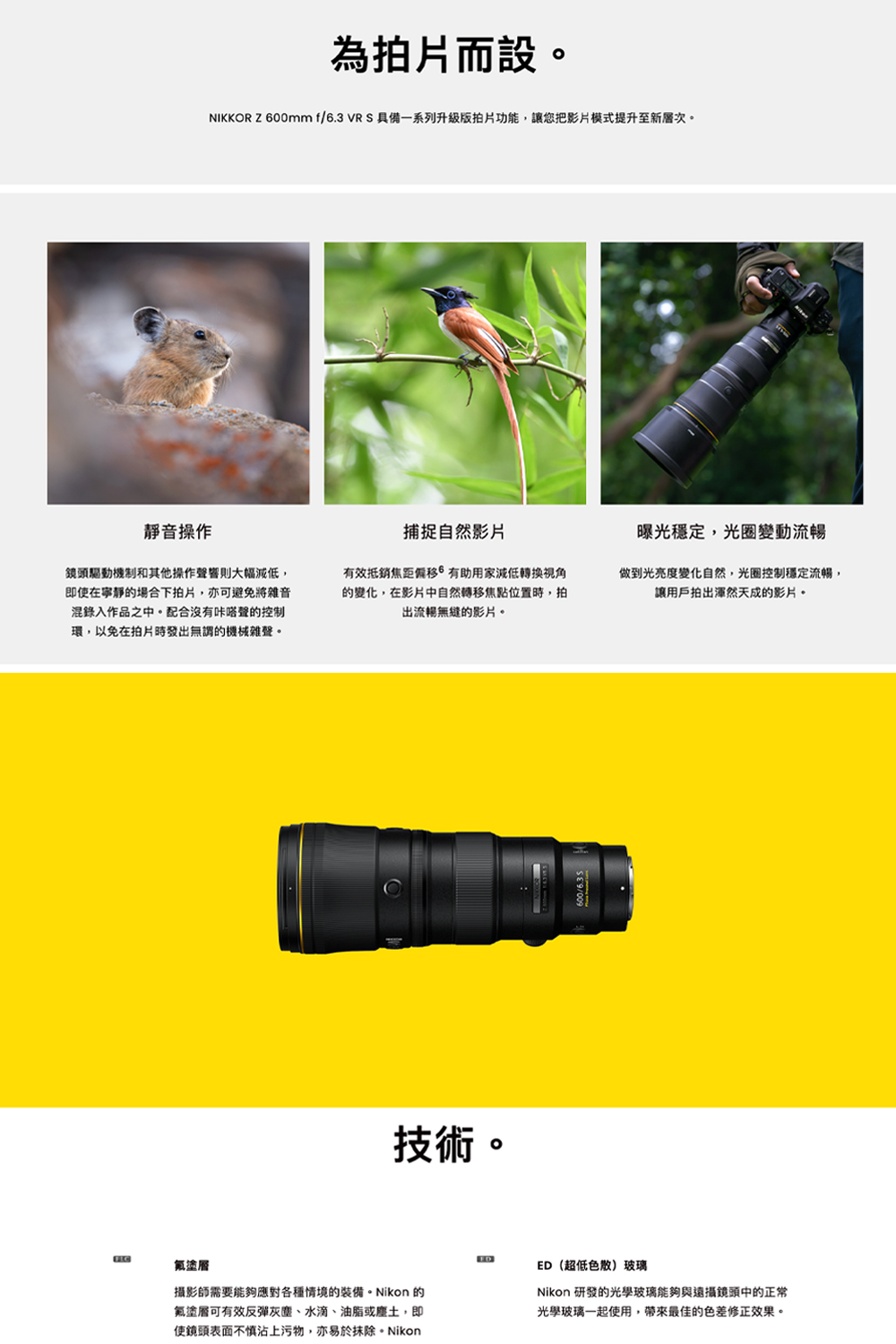 Nikon尼康 Z 600mm F/6.3 VR S - 詳情10