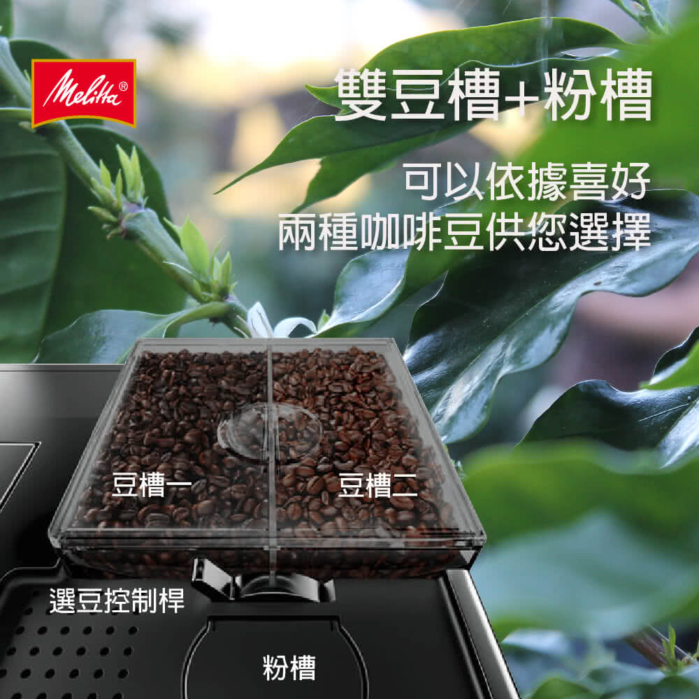 å©ç¨®åå¡è±ä¾æ¨é¸æ