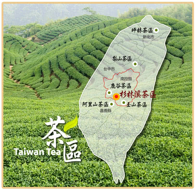 阿里山茶區