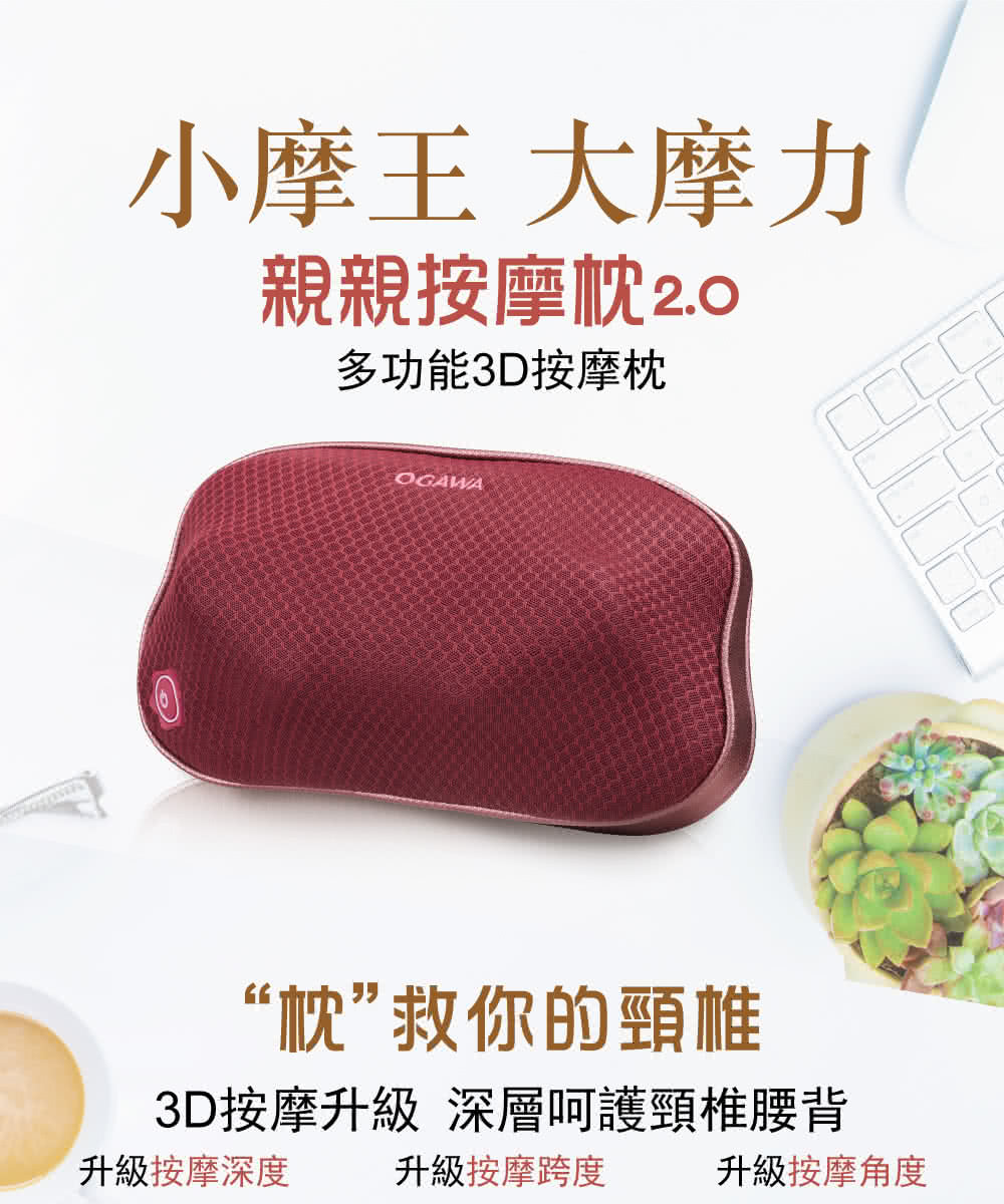 OGAWA OG-2110 - 詳情4