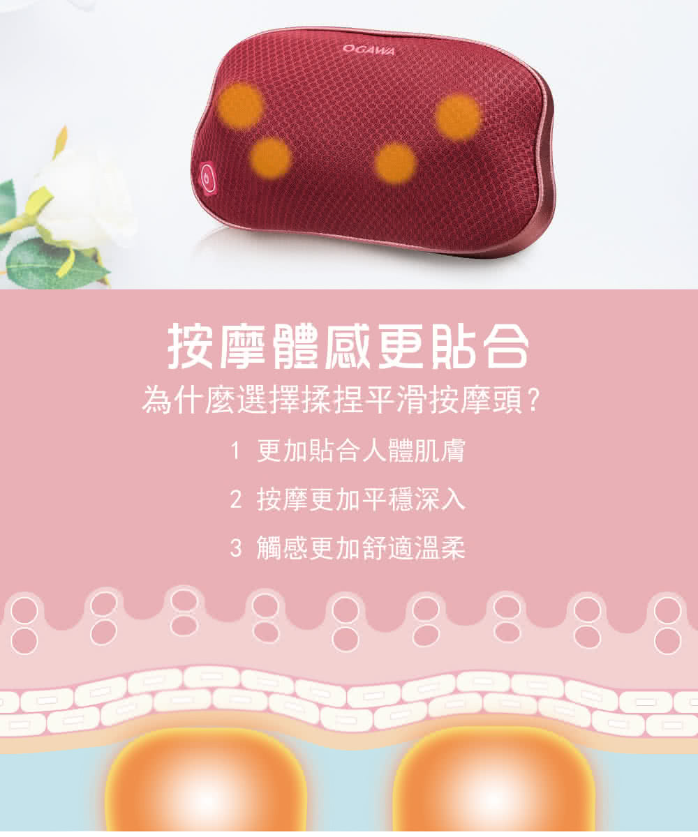 OGAWA OG-2110 - 詳情5