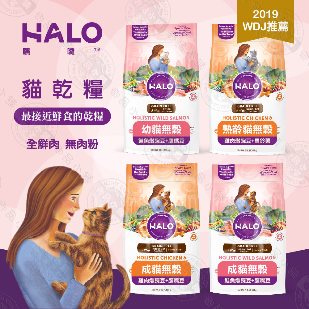 猫 菊 街 共通 点 猫 菊 街 共通 点