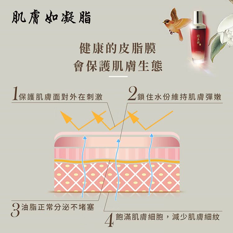 4飽滿肌膚細胞,減少肌膚細紋